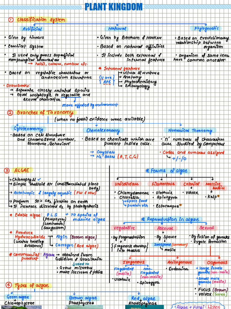 Plant Kingdom (1) | PDF