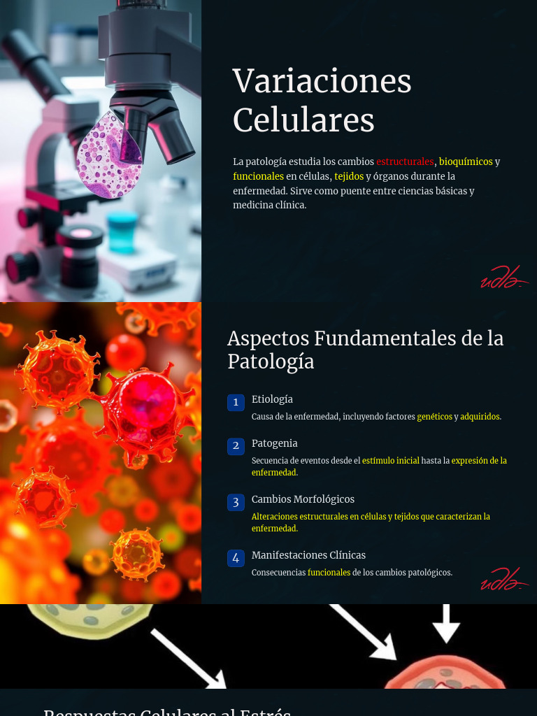 Alteraciones Celulares PDF Biología Celular) Patología