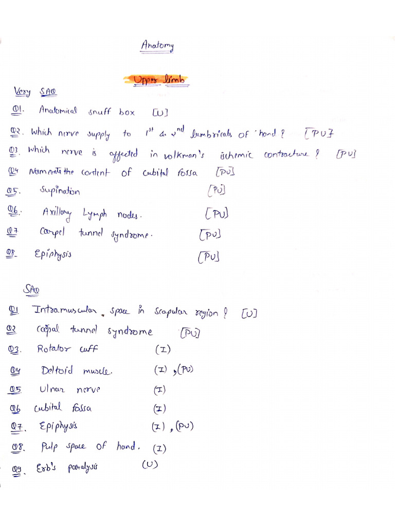 Anatomy RKDF Previous Year Questions | PDF