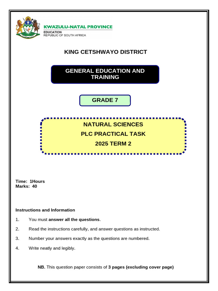 Grade 7 Natural Science Practical Task | PDF | Acid