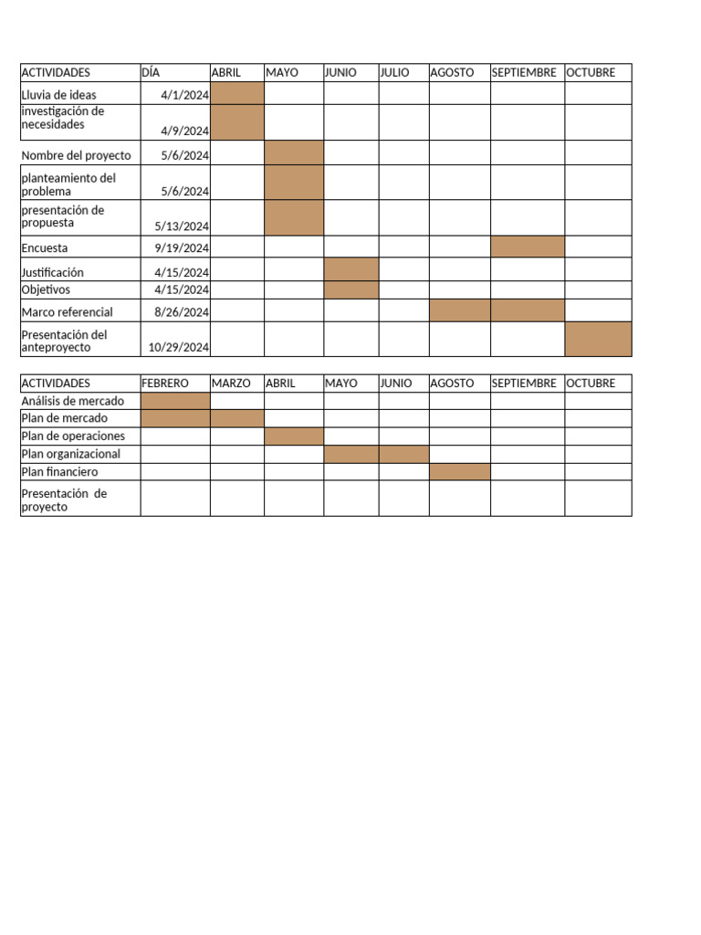 Cronograma de Actividades | PDF