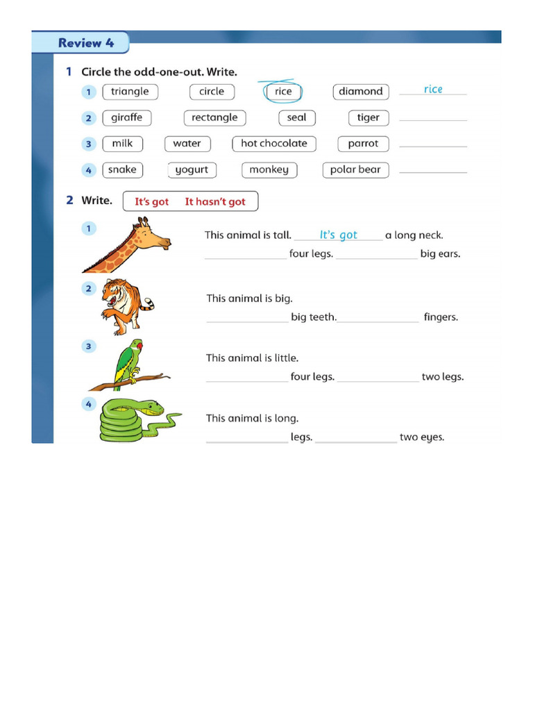 Worksheet | PDF