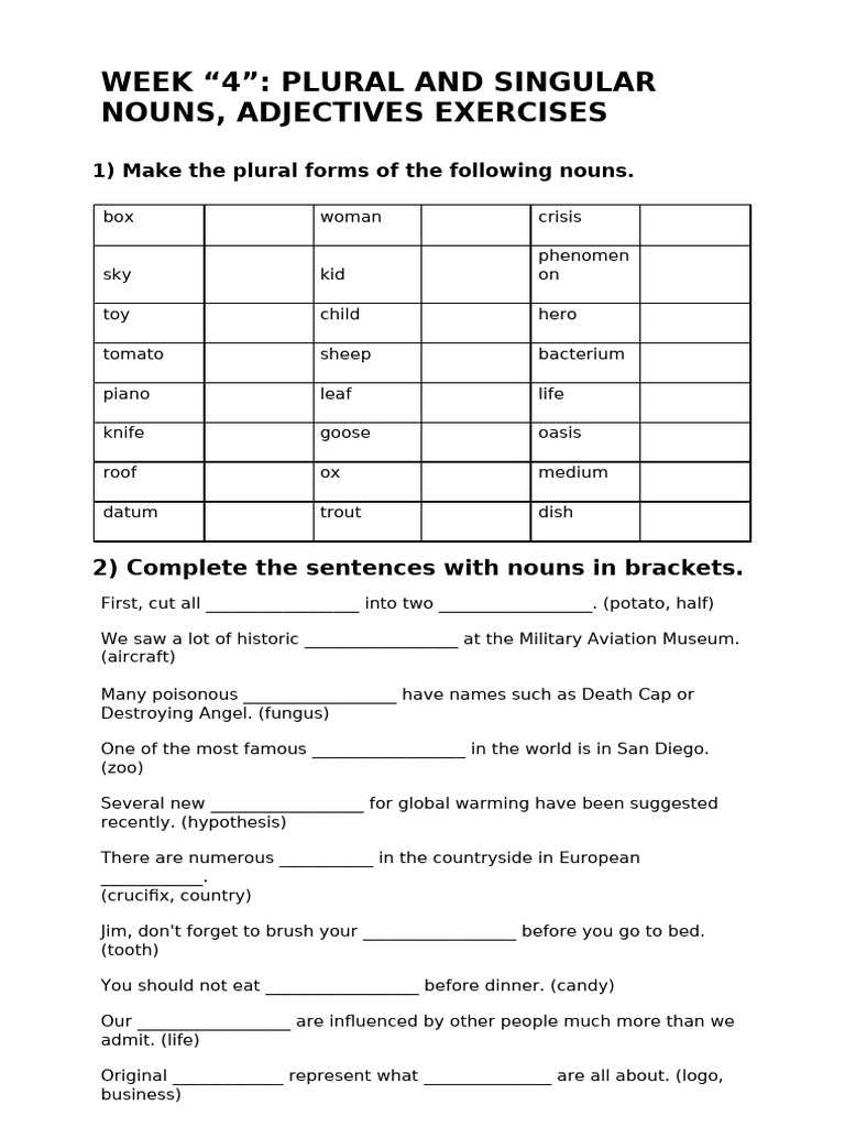 Noun and Adjective Exercises Guide | PDF