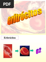 eritrocitos