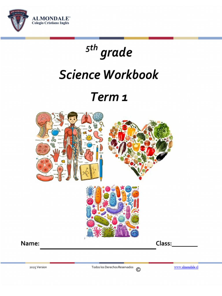 Science+5+Básico+I+Trim+2025 | PDF | Human Digestive System | Human Body