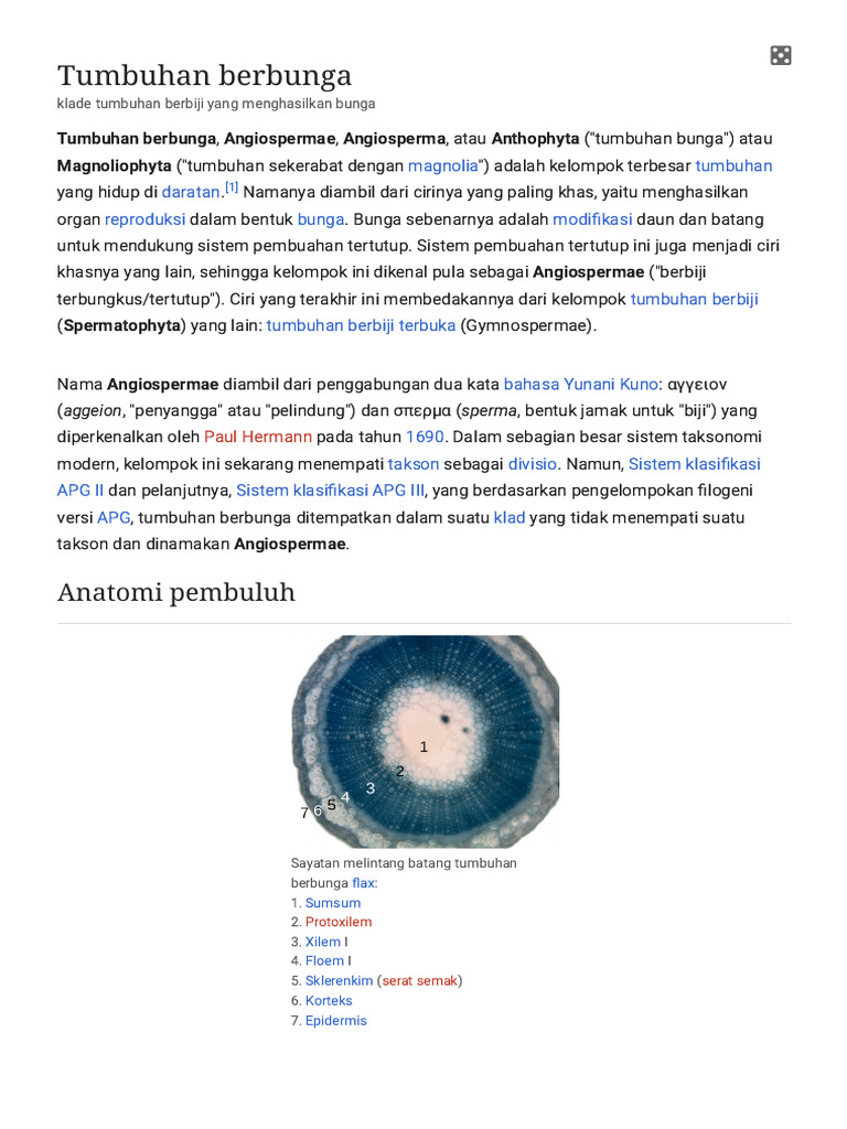 Tumbuhan Berbunga | PDF