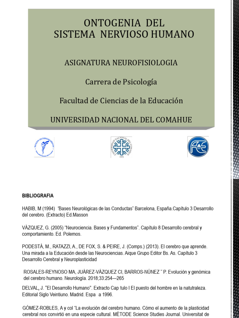 Ontogenia Del SNH Neurofisiología 2025 | PDF | Cerebro | Biología