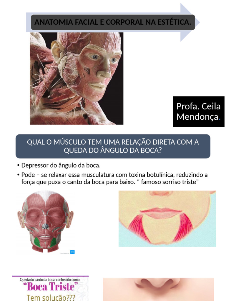 Anatomia Facial e Vascular na Estética | PDF | Especialidades médicas ...