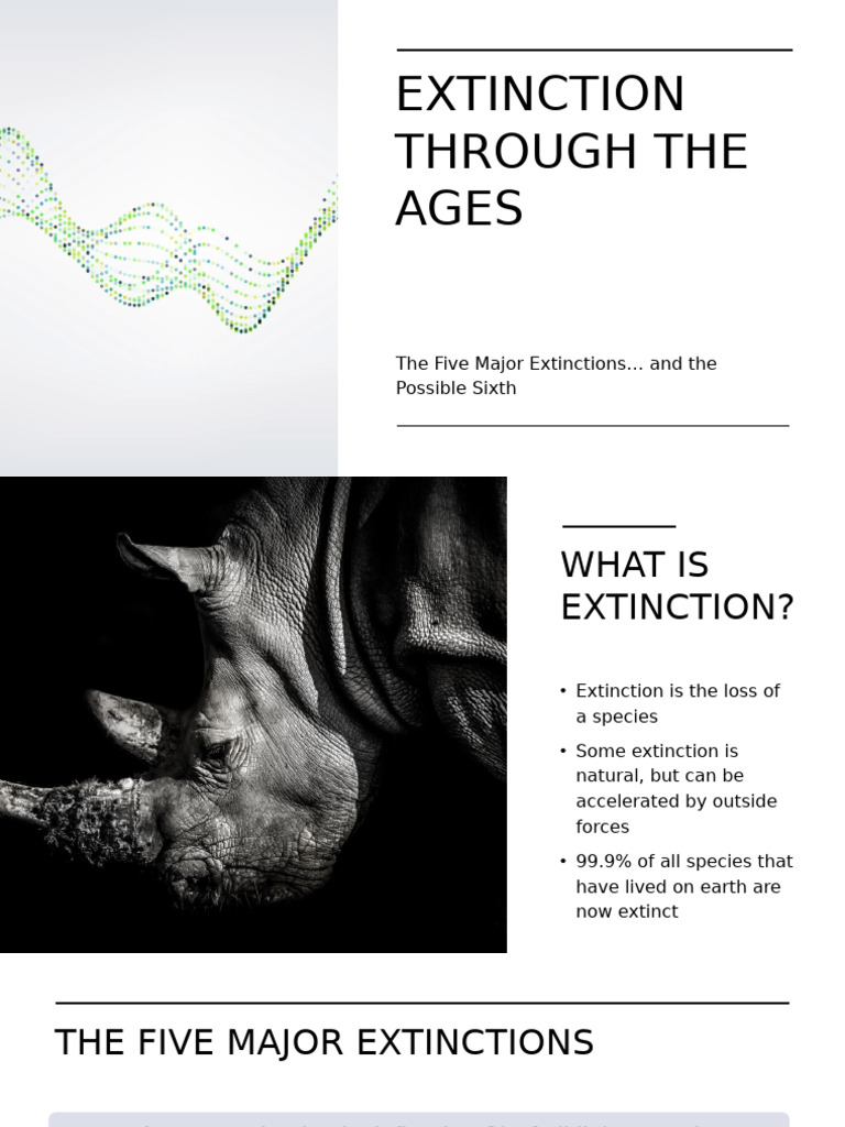 Major Extinctions and Their Causes | PDF | Extinction | Biogeography