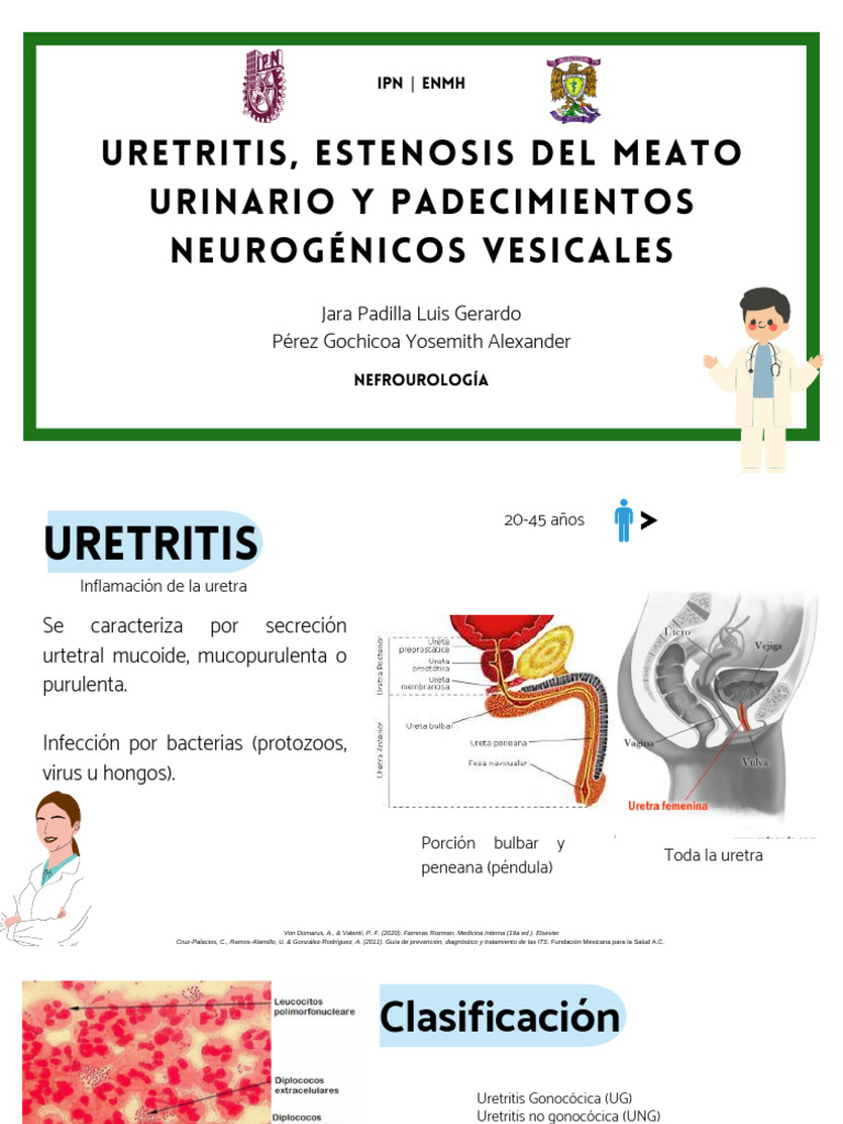 uretritis-estenosis-del-meato-urinario-y-padecimientos-neurog-nicos