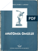 Anatomia Omului - Mihaela Marcu-Lapadat