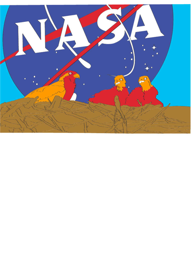 NASA Kids Club | PDF