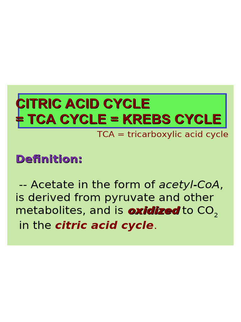 Understanding the Citric Acid Cycle | PDF | Citric Acid Cycle | Chemistry