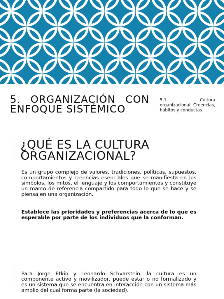 Cultura Organizacional y Tipos de Sistemas | PDF | Comportamiento ...