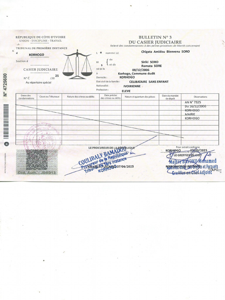 Casier Judiciaire | PDF