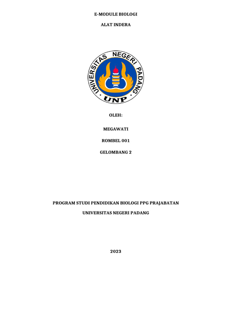 E-Modul Mega | PDF