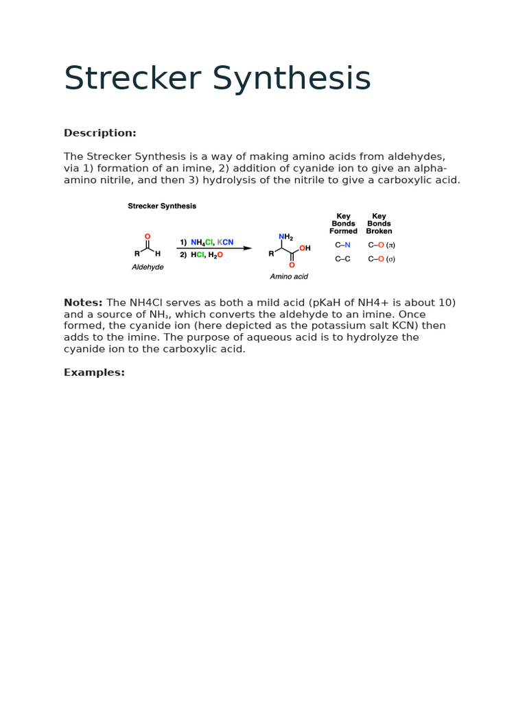Detailed Overview of Strecker Synthesis | PDF | Amine | Acid