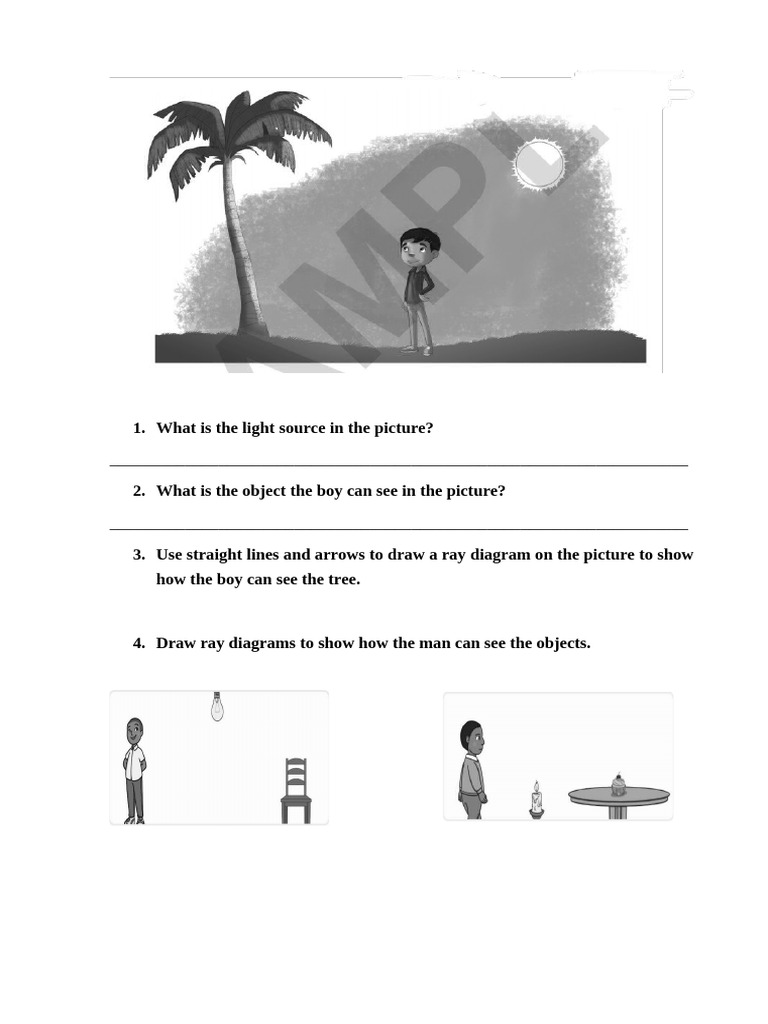Ray Diagrams and Light Reflection | PDF