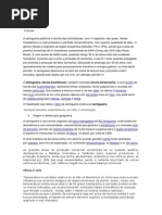 silvicultura seringueira
