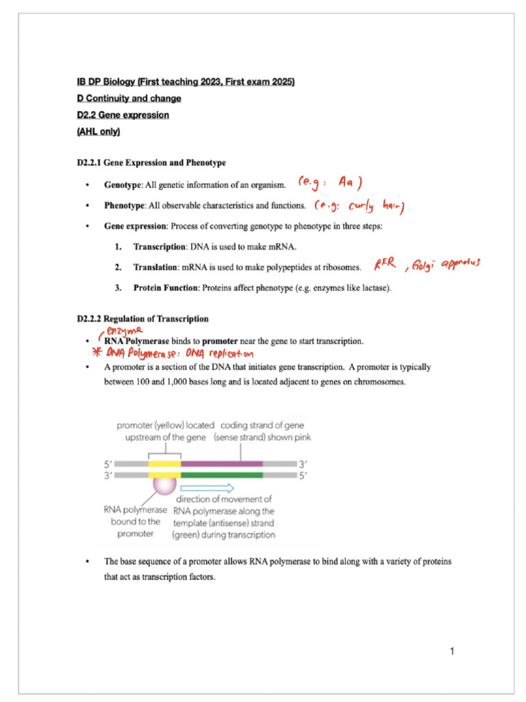 D2.2 Gene expression (Part 1) | PDF