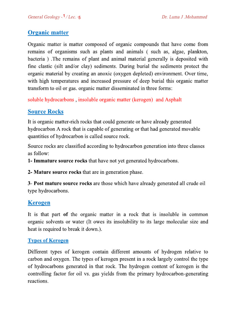 Source Rocks 1 | PDF