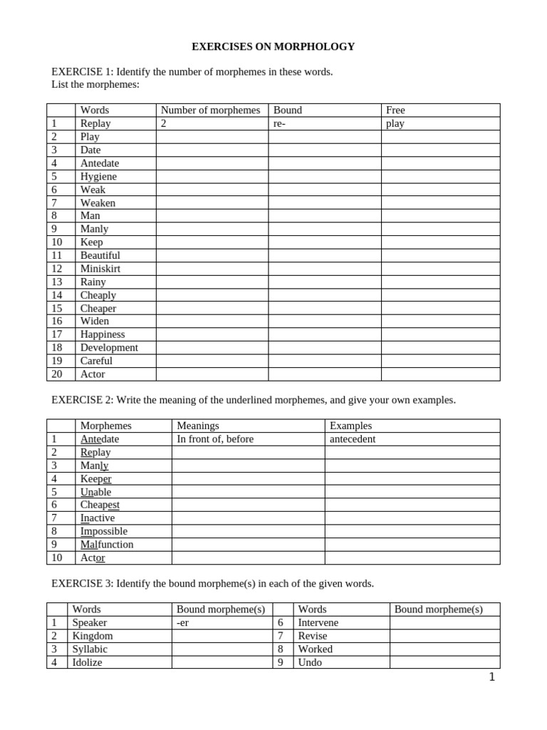 Morphology Exercises and Analysis | PDF | Word | Linguistics