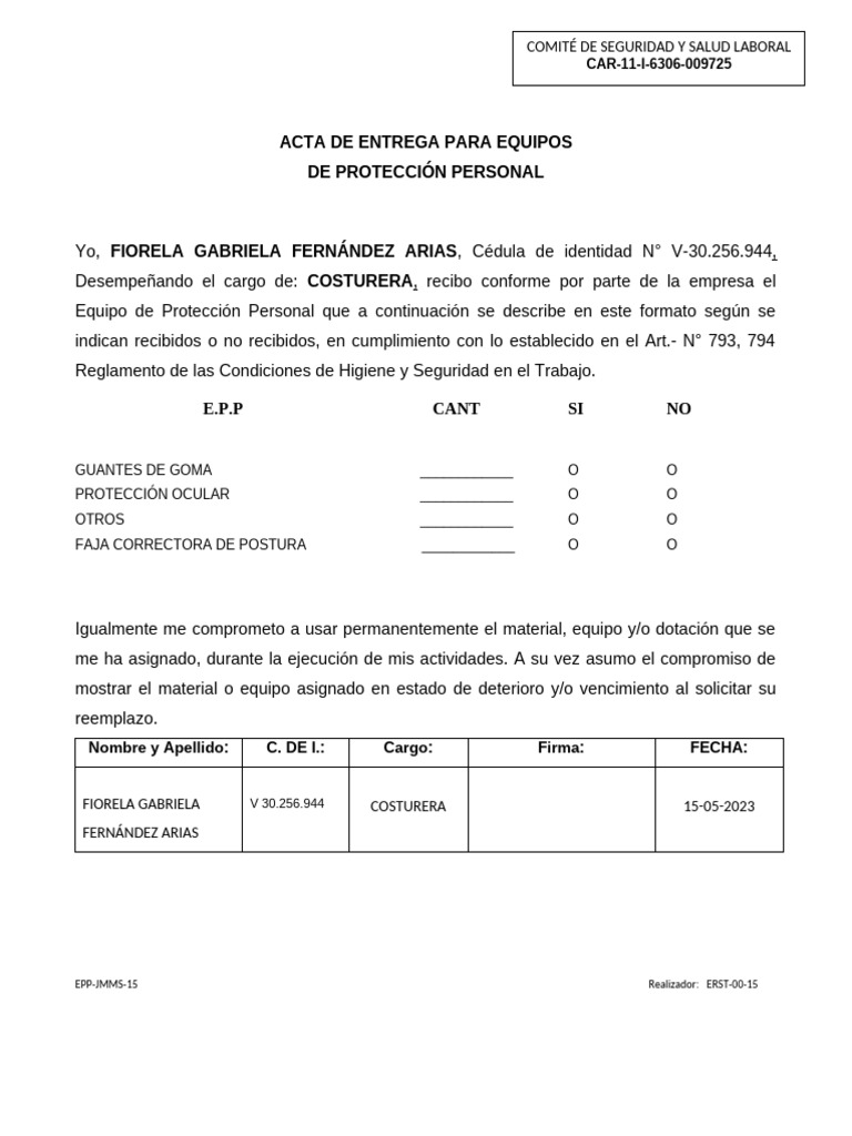 Acta de Entrega para Equipos | PDF