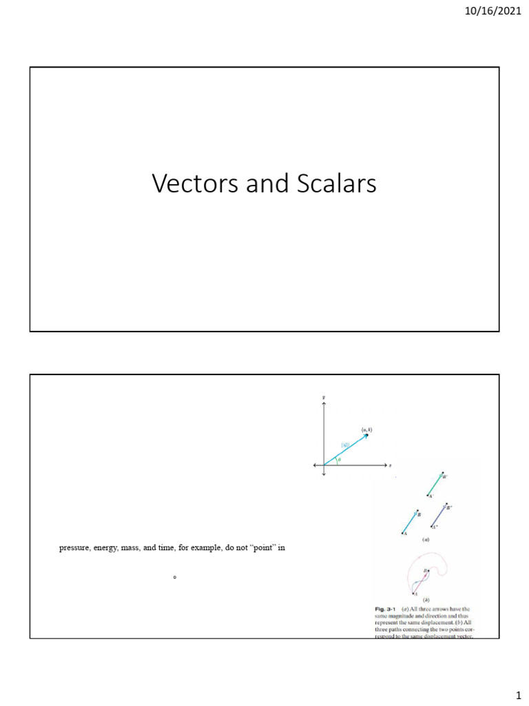 Understanding Vectors and Scalars | PDF