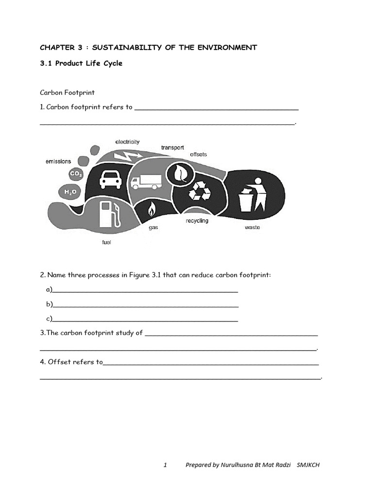 Environmental Sustainability Insights | PDF | Carbon Footprint | Life ...