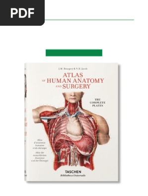 解剖学 Atlas of Human Anatomy and Surgery Atlas of Human Anatomy and Surgery: Le Minor, Jean-Marie