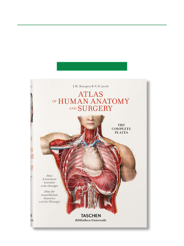 ATLAS OF HUMAN ANATOMY AND SURGERY 洋書　解剖 atlas of human anatomy and surgery 解剖学書 - 健康・医学快適