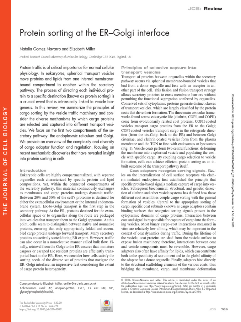 Protein Sorting in ER-Golgi Transport | PDF | Vesicle (Biology And ...