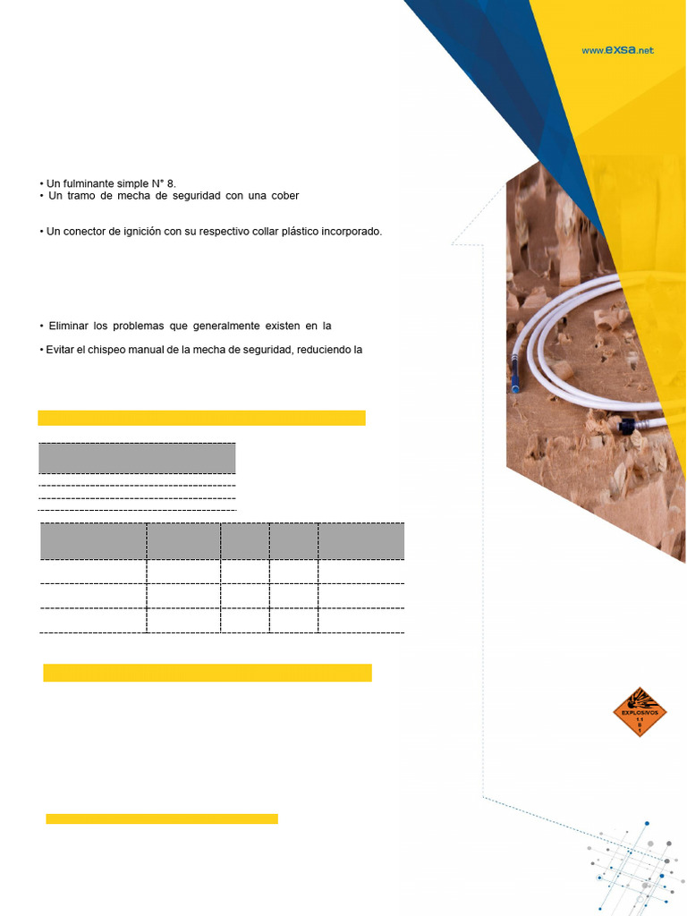 Detonador Ensamblado Especificaciones y Uso PDF Combustión