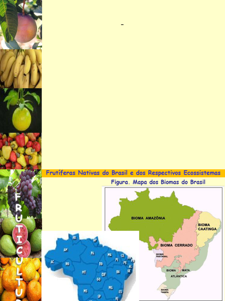 Frutíferas Nativas do Brasil | PDF | Fruta | Frutas comestíveis