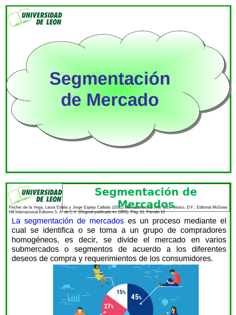 Guía sobre Segmentación de Mercados | PDF | Marketing | Segmentación de ...