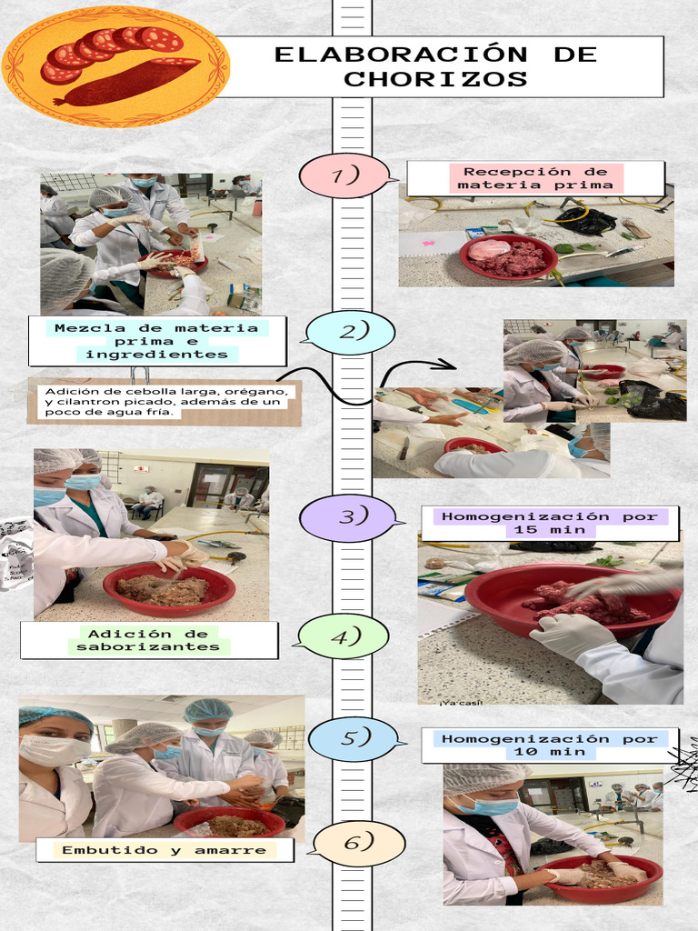 Proceso de Elaboración de Chorizos | PDF