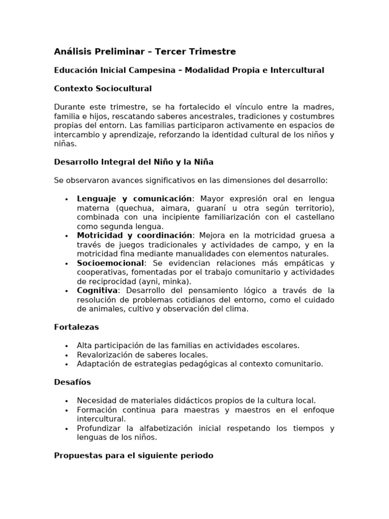 An lisis Preliminar PDF