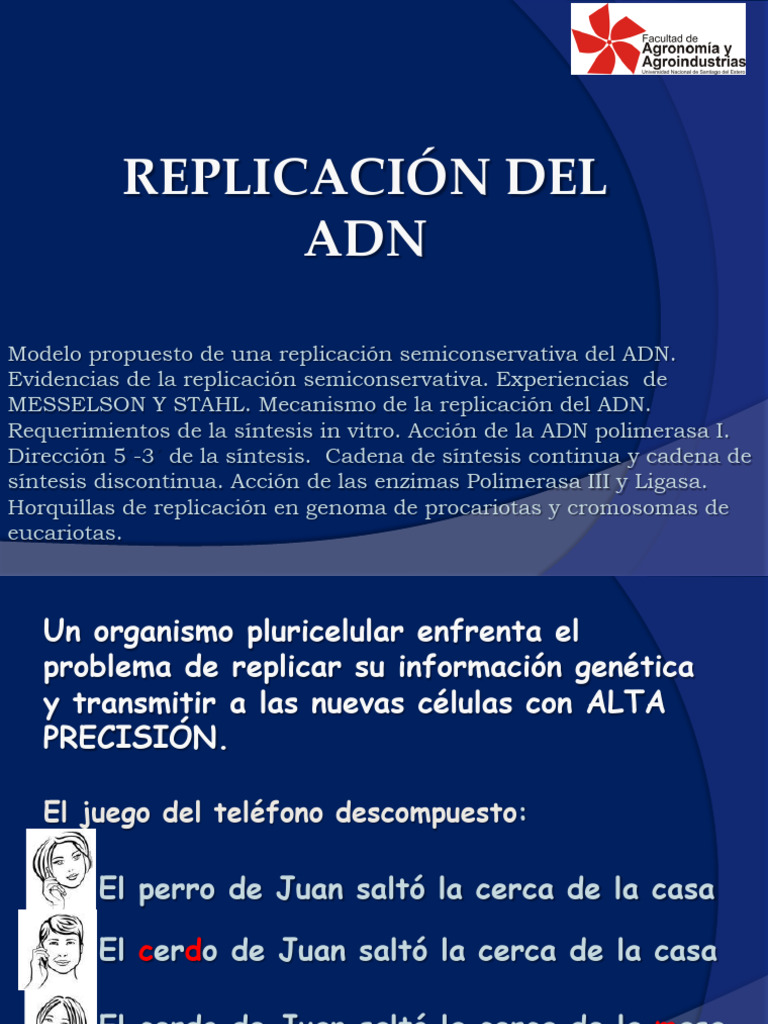 Mecanismos de Replicación del ADN | PDF | Replicación De Adn | Adn