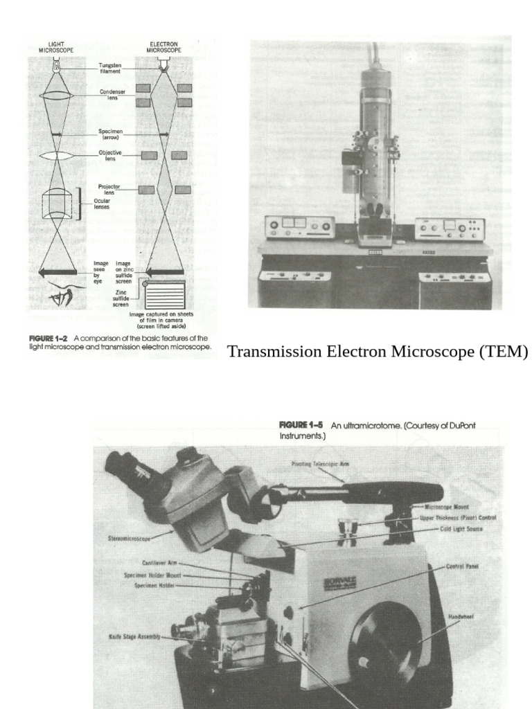 Microscopic Techniques | PDF | Fluorophore | Fluorescence Microscope