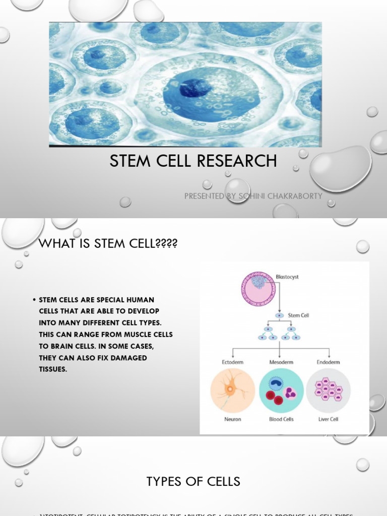 Overview of Stem Cell Research and Applications | PDF | Dominance ...
