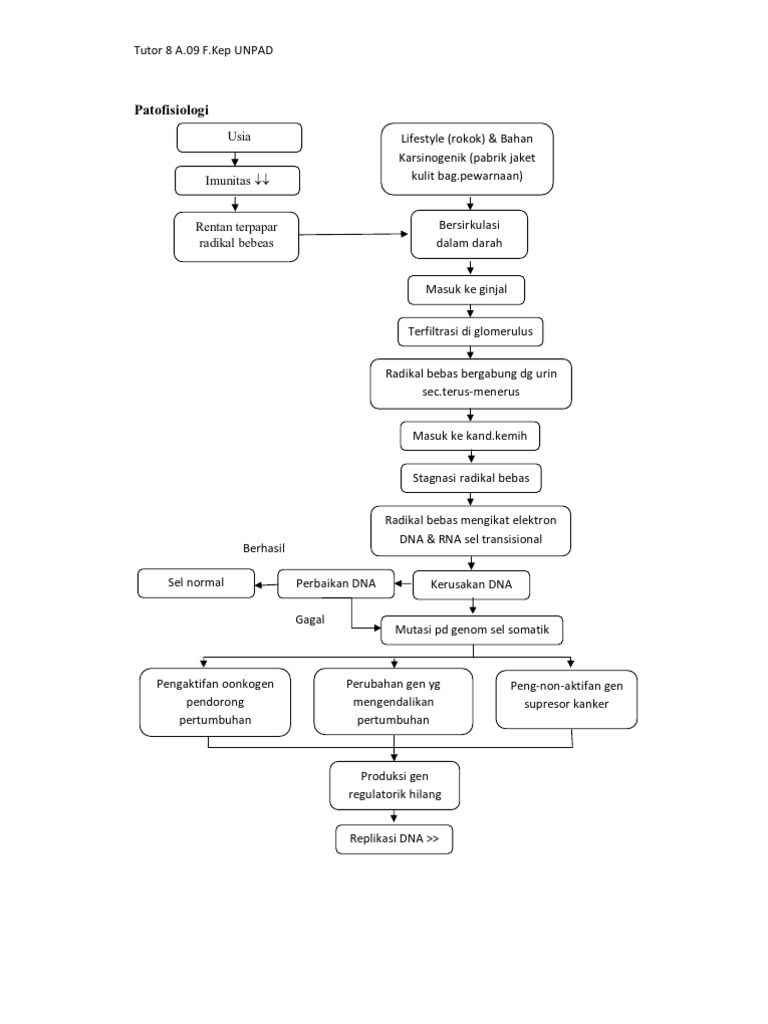 Patofisiologi Kanker Kandung Kemih