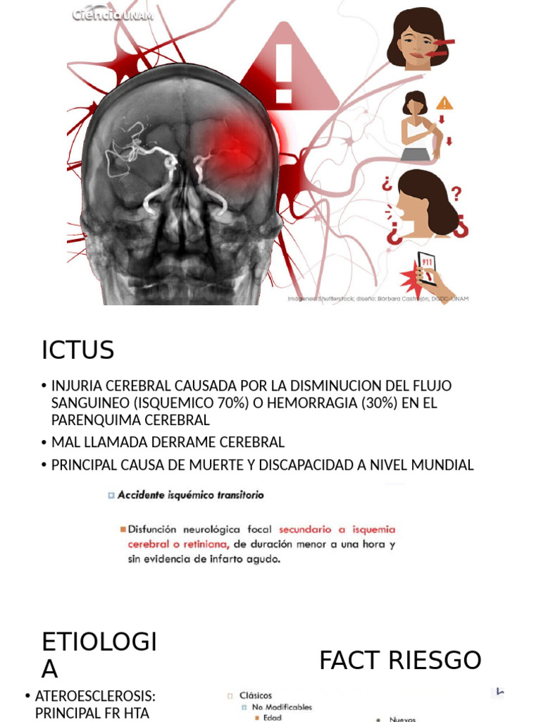 ACV | PDF