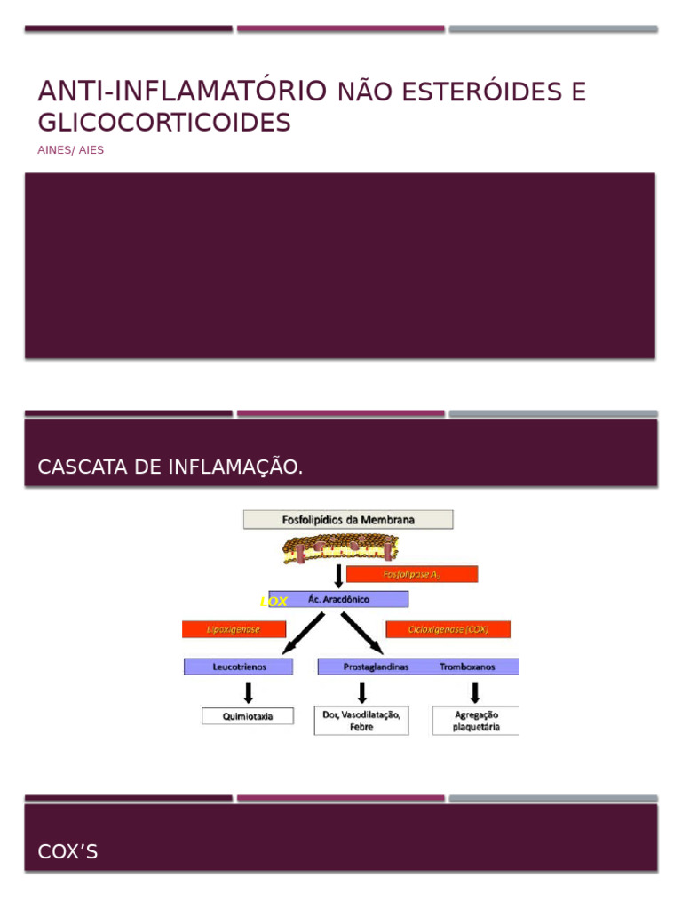 Anti-Inflamatório Não Esteróides e Glicocorticoides | PDF | Anti ...