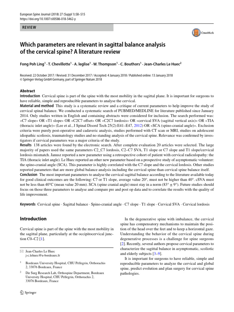 Which Parameters Are Relevant in Sagittal Balance Analysis of The ...
