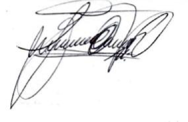 Firma F | PDF