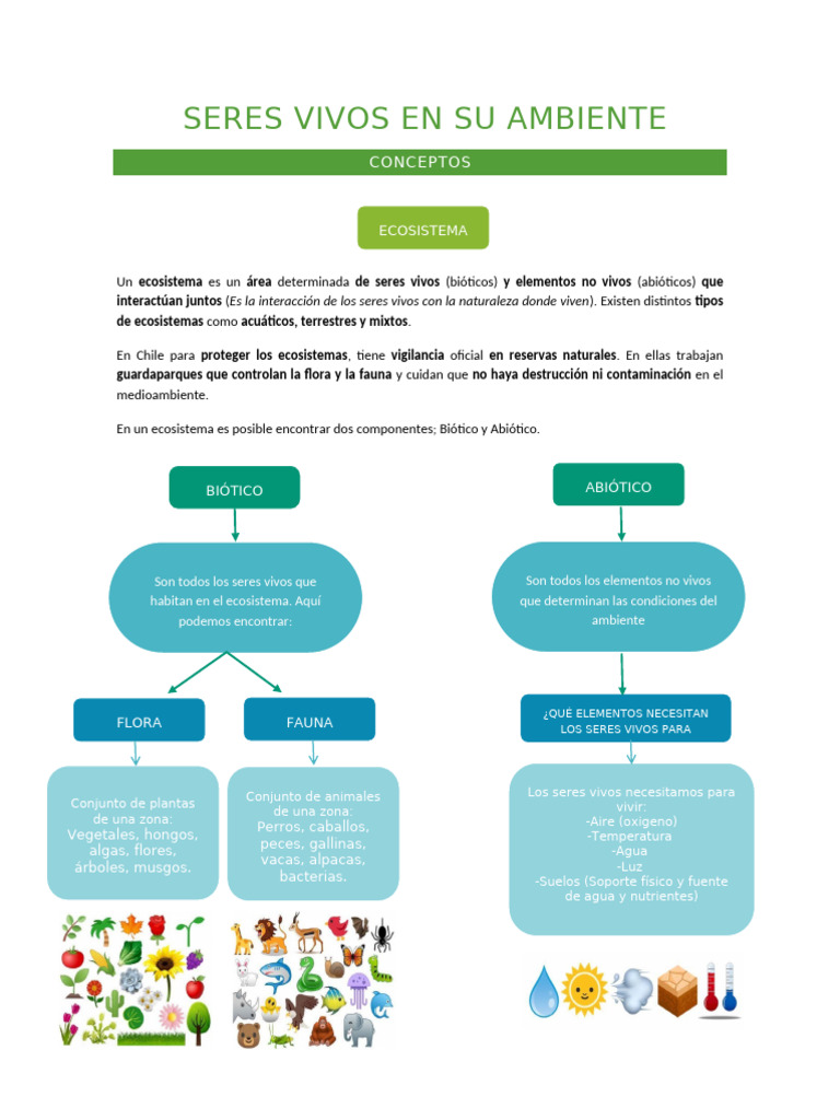 Seres Vivos en Su Ambiente | PDF | Ecosistema | Entorno natural