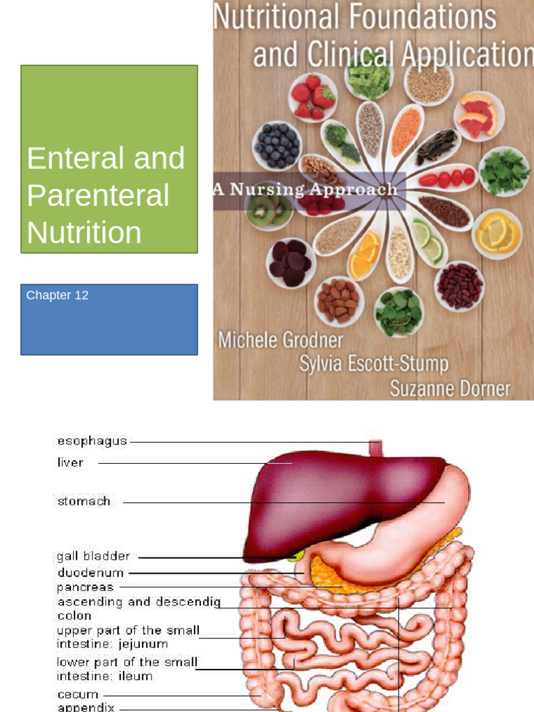 Enteral and Parenteral Nutrition Overview | PDF | Gastrointestinal ...