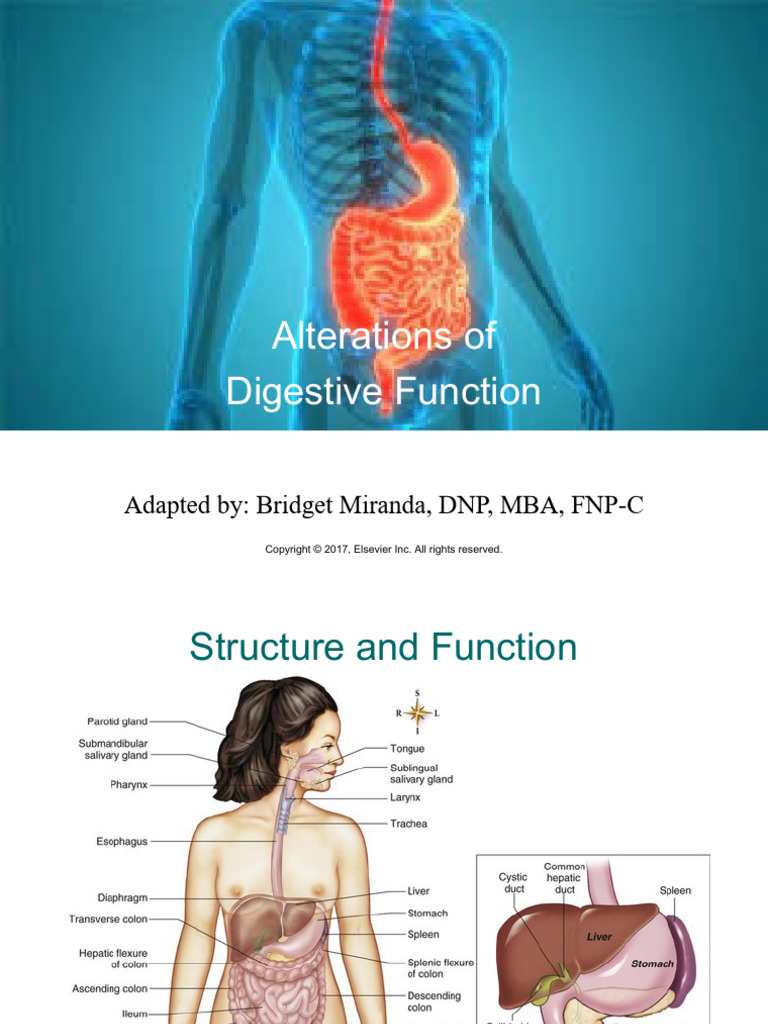 Alterations in Digestive Function - Miranda Class Slides | PDF ...