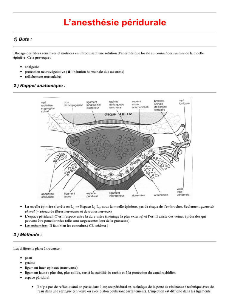 A Peridurale | PDF