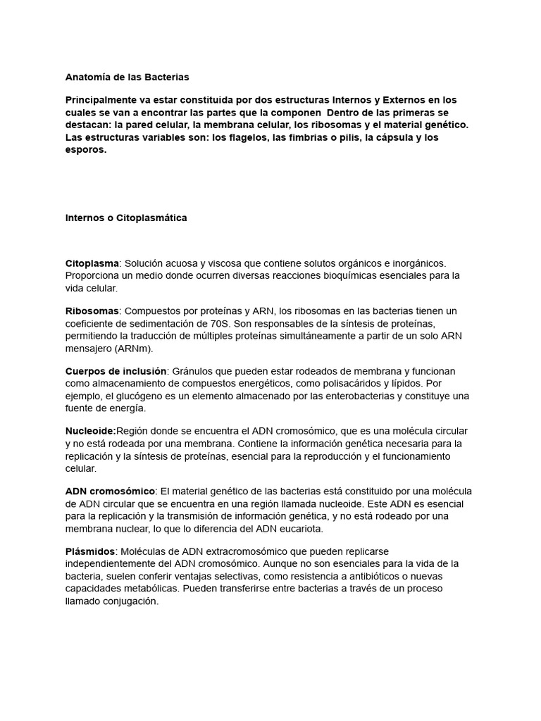 Estructura y Función de las Bacterias | PDF | Las bacterias | Biología ...